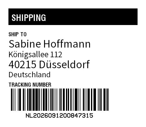 Preview of Shipping with Custom Font